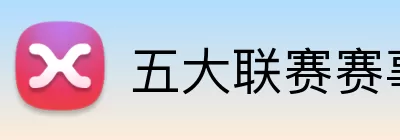 五大联赛赛事 logo